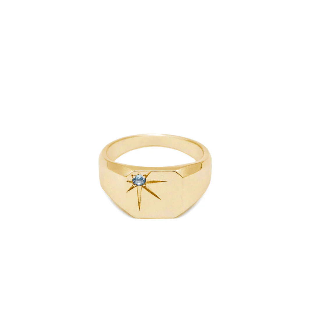 Gold Guardian Ring - Image 3