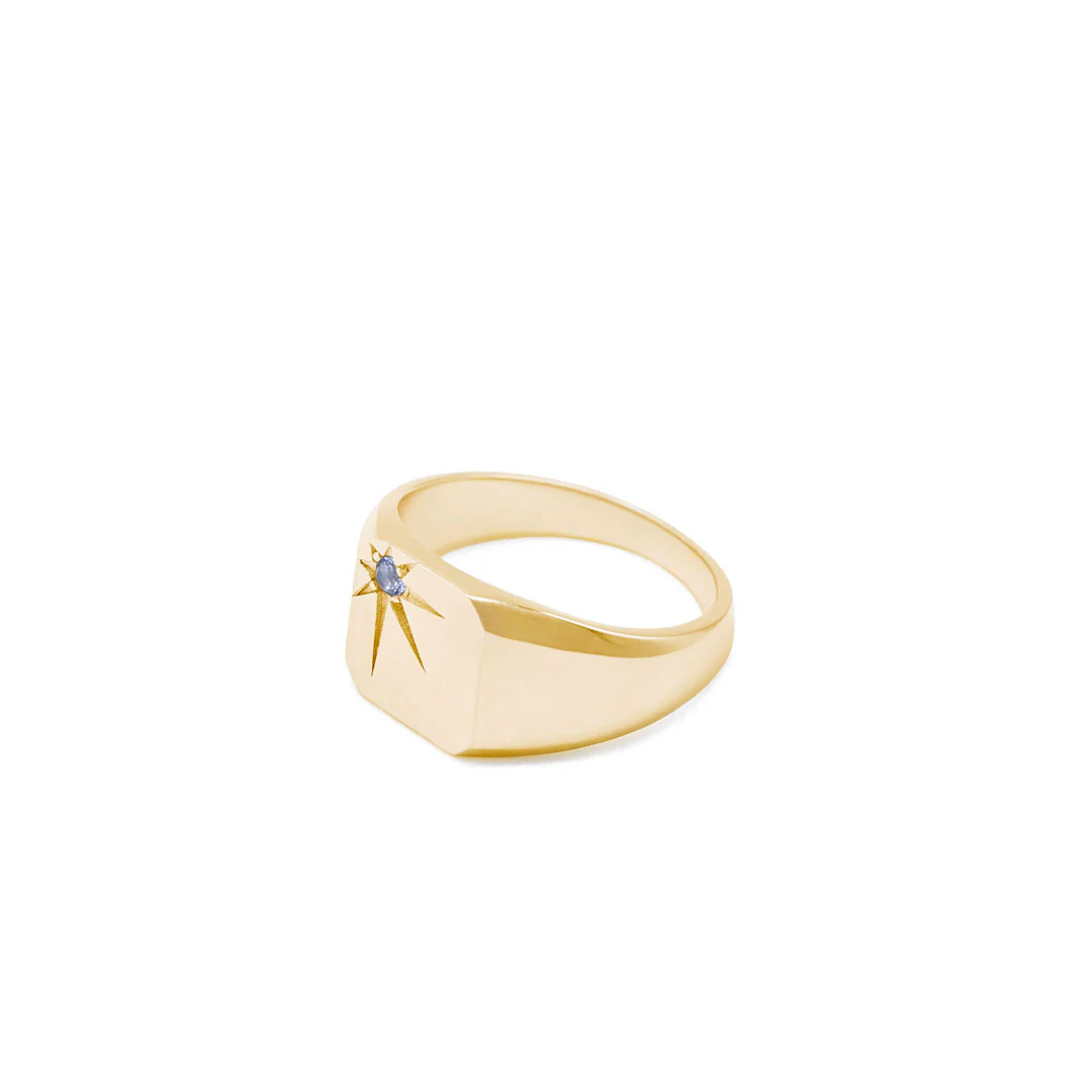 Gold Guardian Ring - Image 5