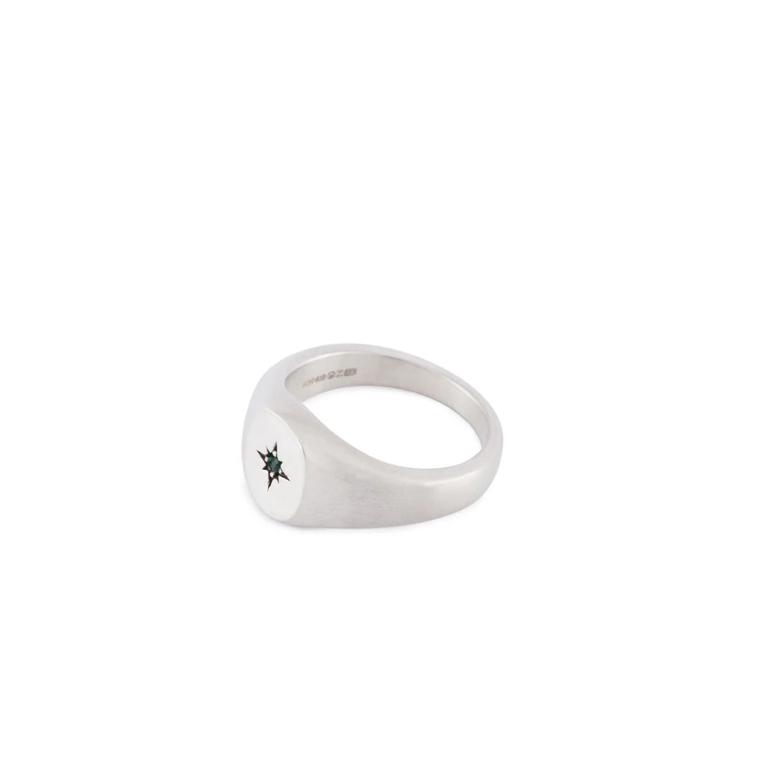 Silver Envy Signet Ring - Image 5