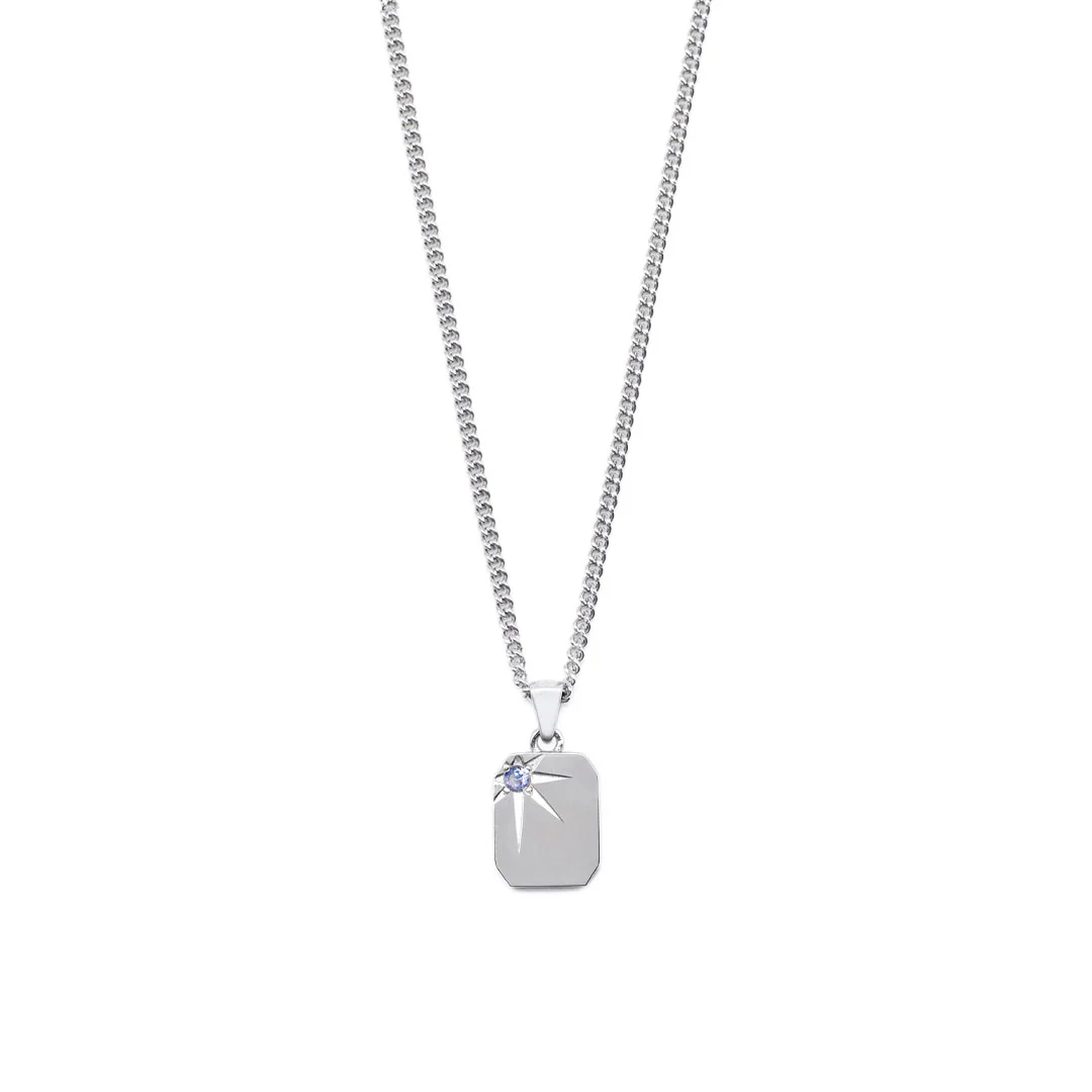 Silver Guardian Necklace - Image 3